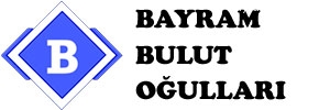 Bayram Bulut